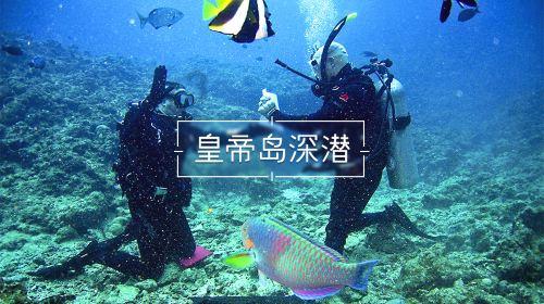 五彩鹦鹉救援